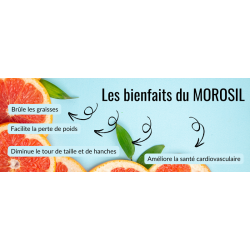 les bienfaits du morosil dans la tisane powder B.Slim